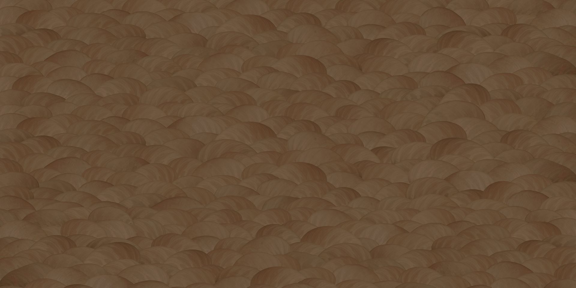 Rainforest leaves rust