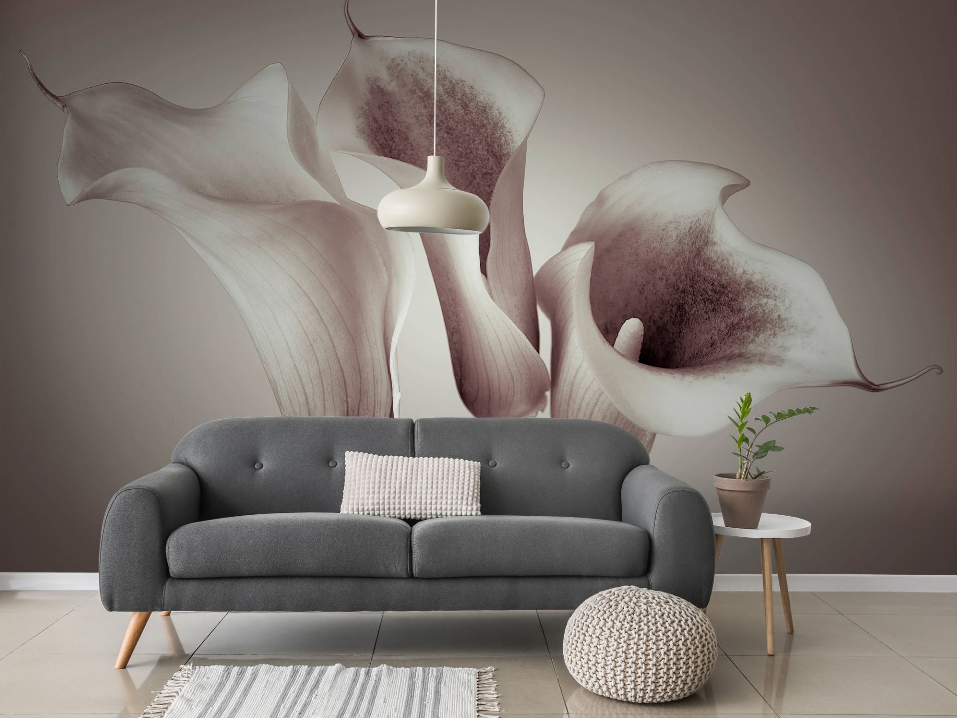 Calla Lys - Photo Wallpaper