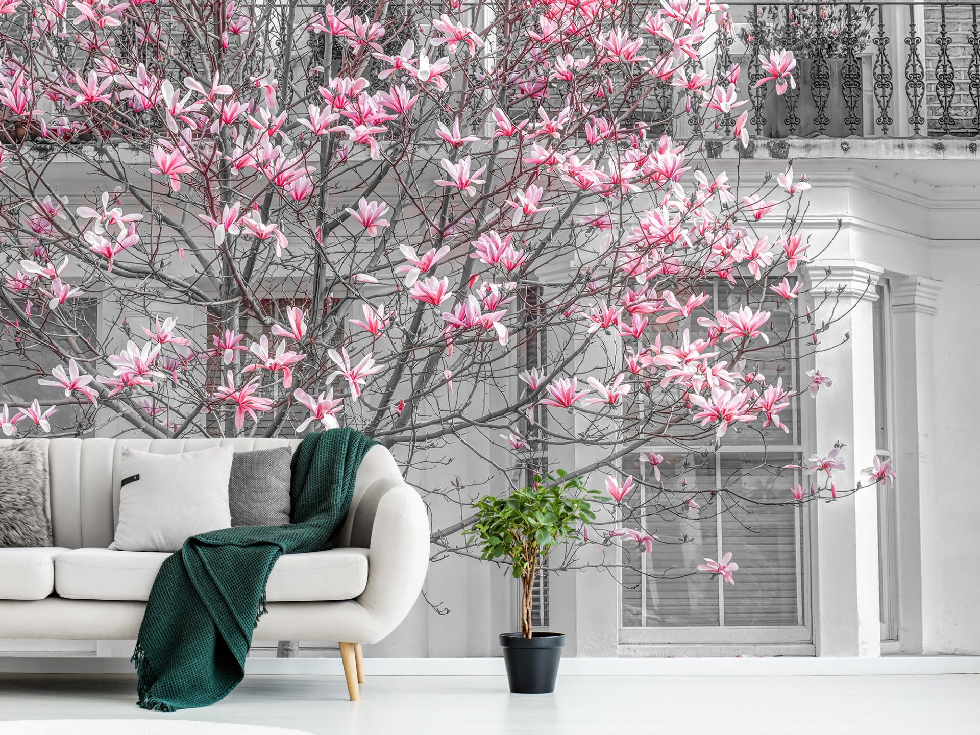 Magnolia Tree Wallpaper