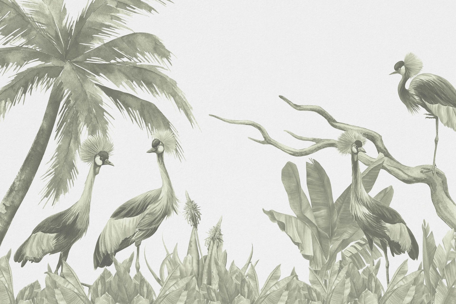 Jungle with cranes in green
