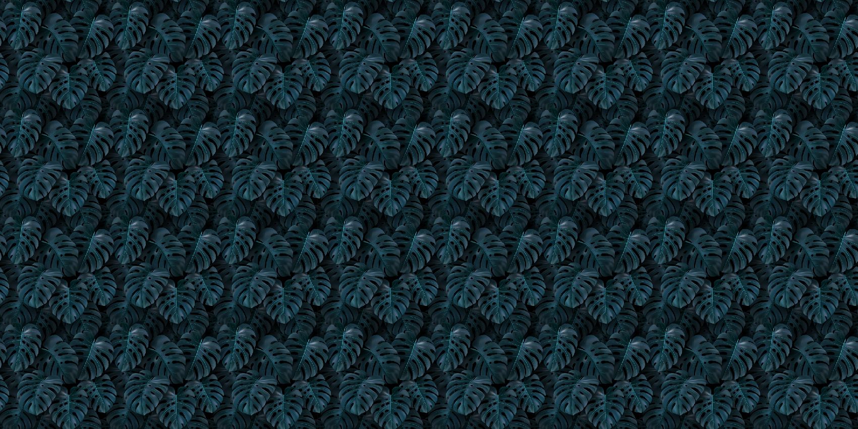 Tropical green Monstera leaves