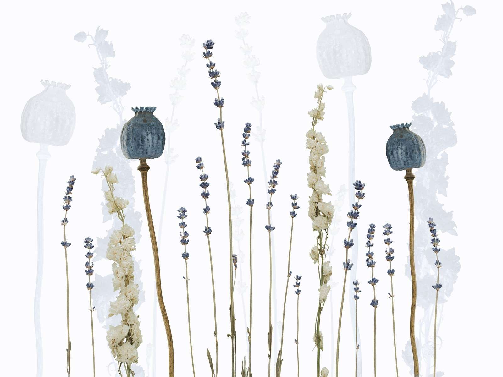 Watercolour Flora Dream