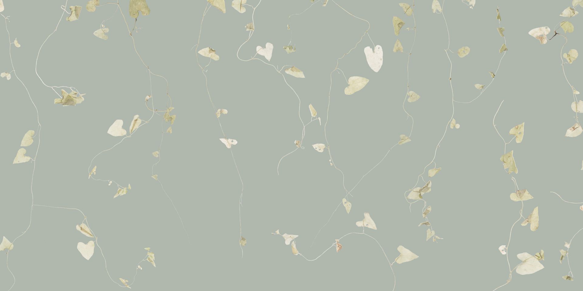 Grey hedgerow grey green