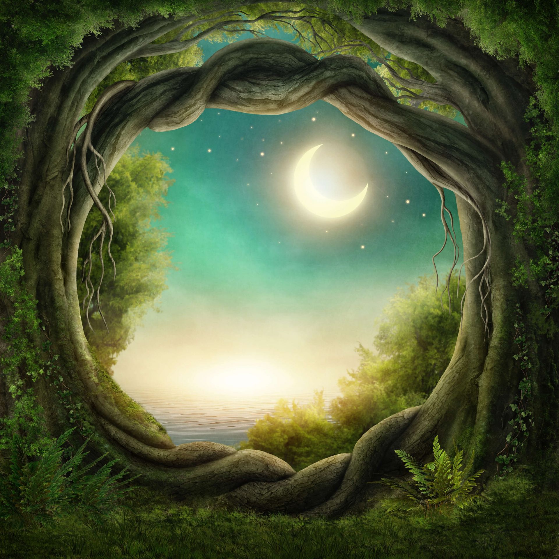 Photo Wallpaper Enchanted forest  Fantasy  Wall Murals