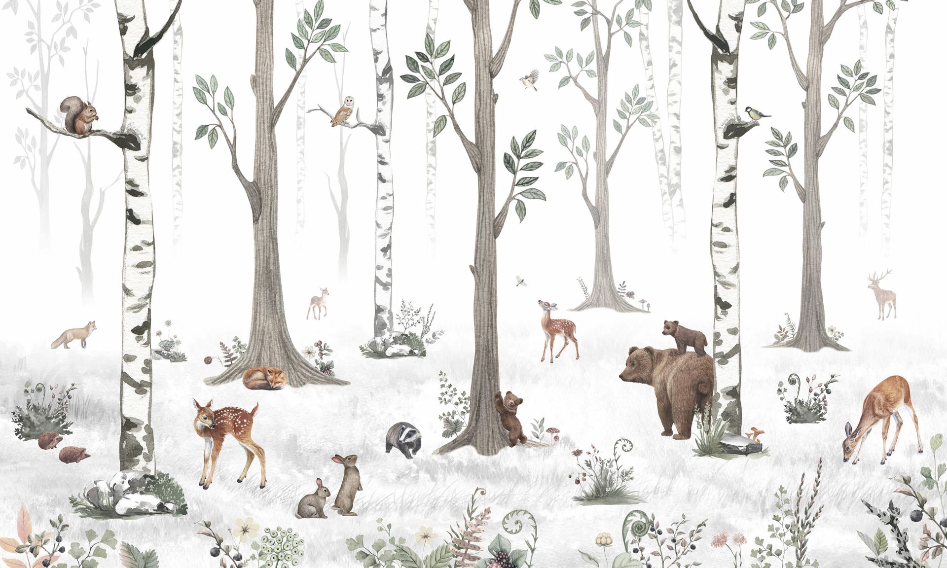 White Forest main product photo