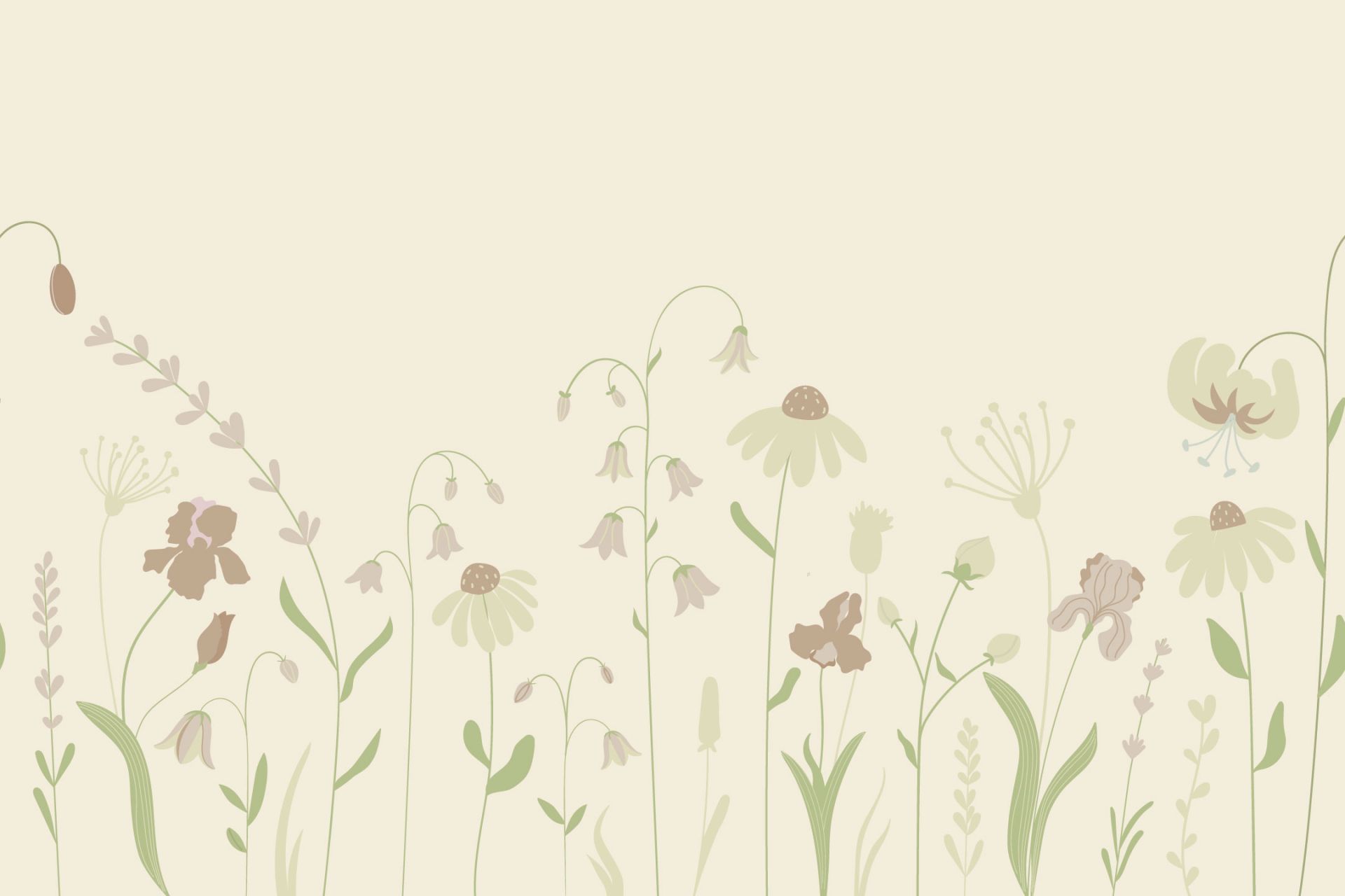 Flower field high sand with old pink