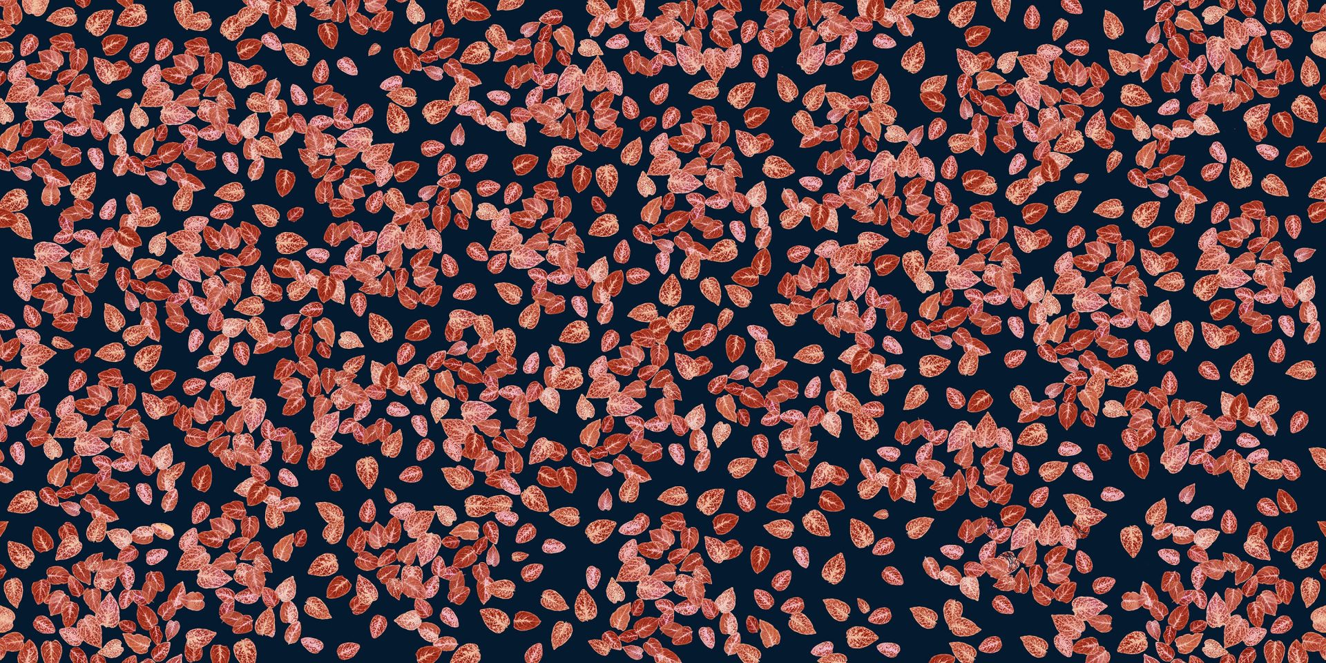 Small leaves rust on mightnight blue