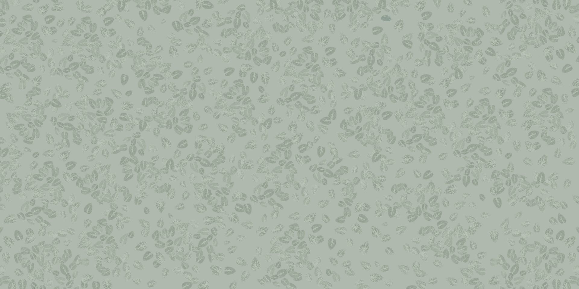 Small leaves on grey green