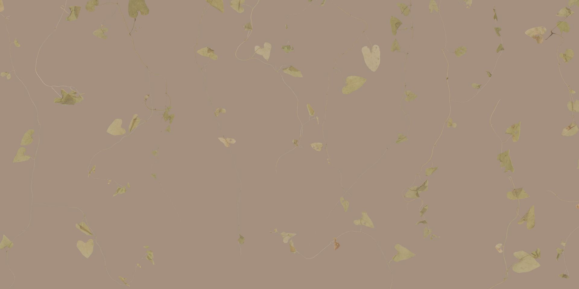 Hawthorn branches taupe