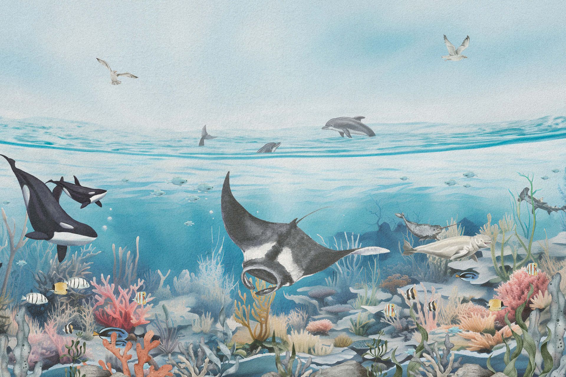 Ocean Landscape with Animals in Color