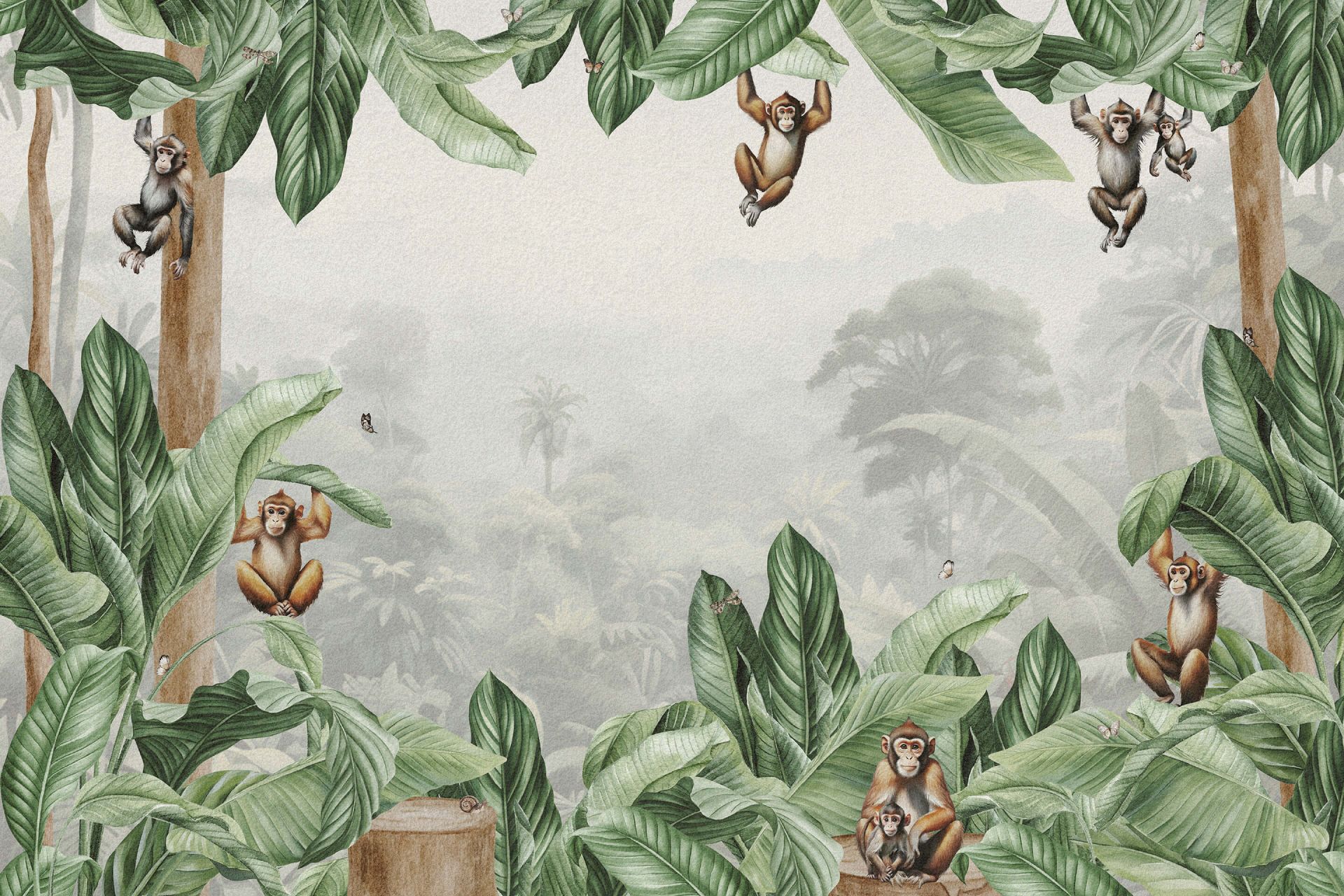 Monkeys landscape in color