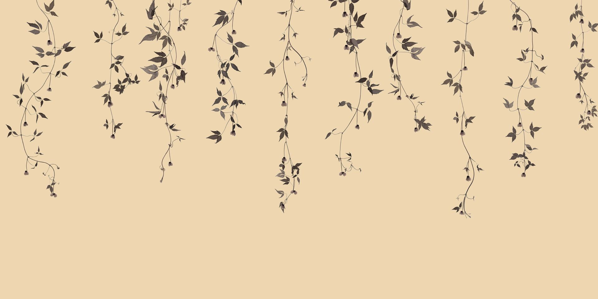 Clematis twigs on beige