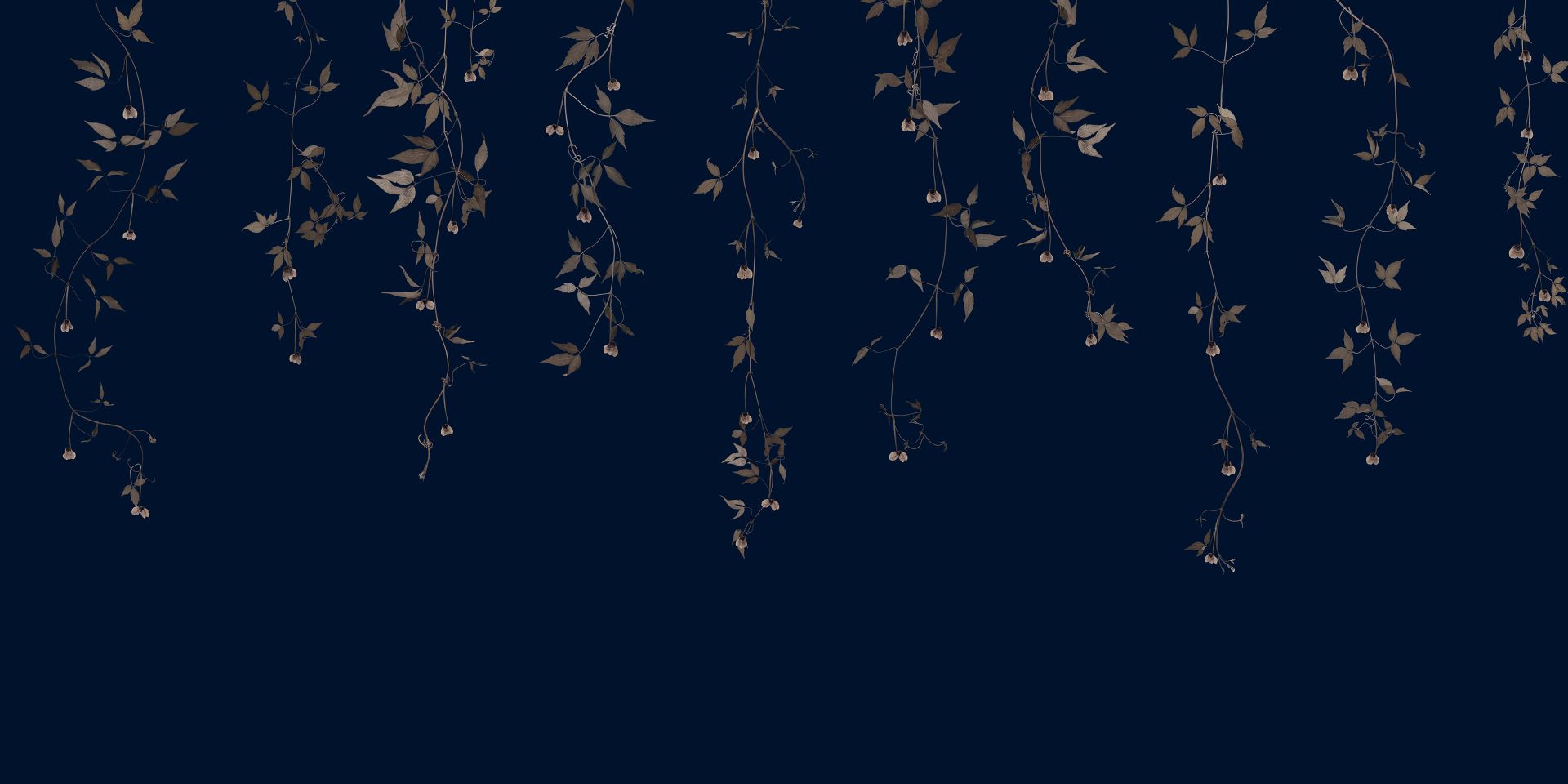 Clematis sprigs on midnight blue