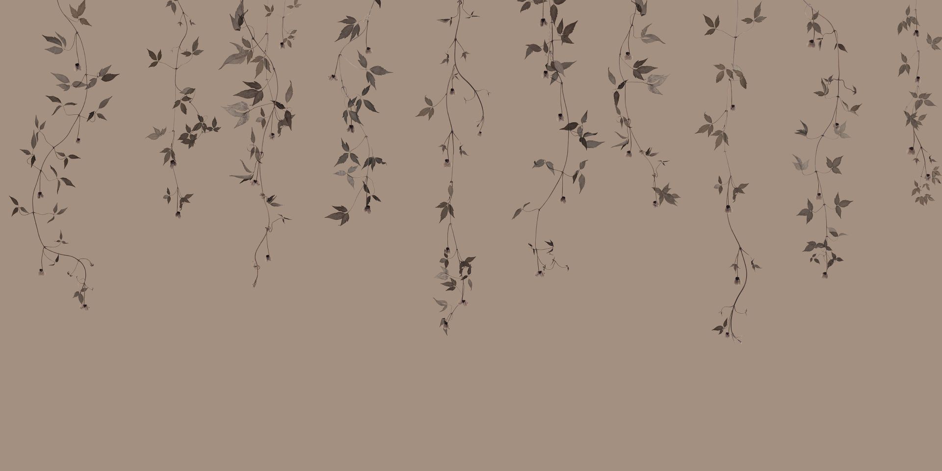 Clematis twigs on taupe