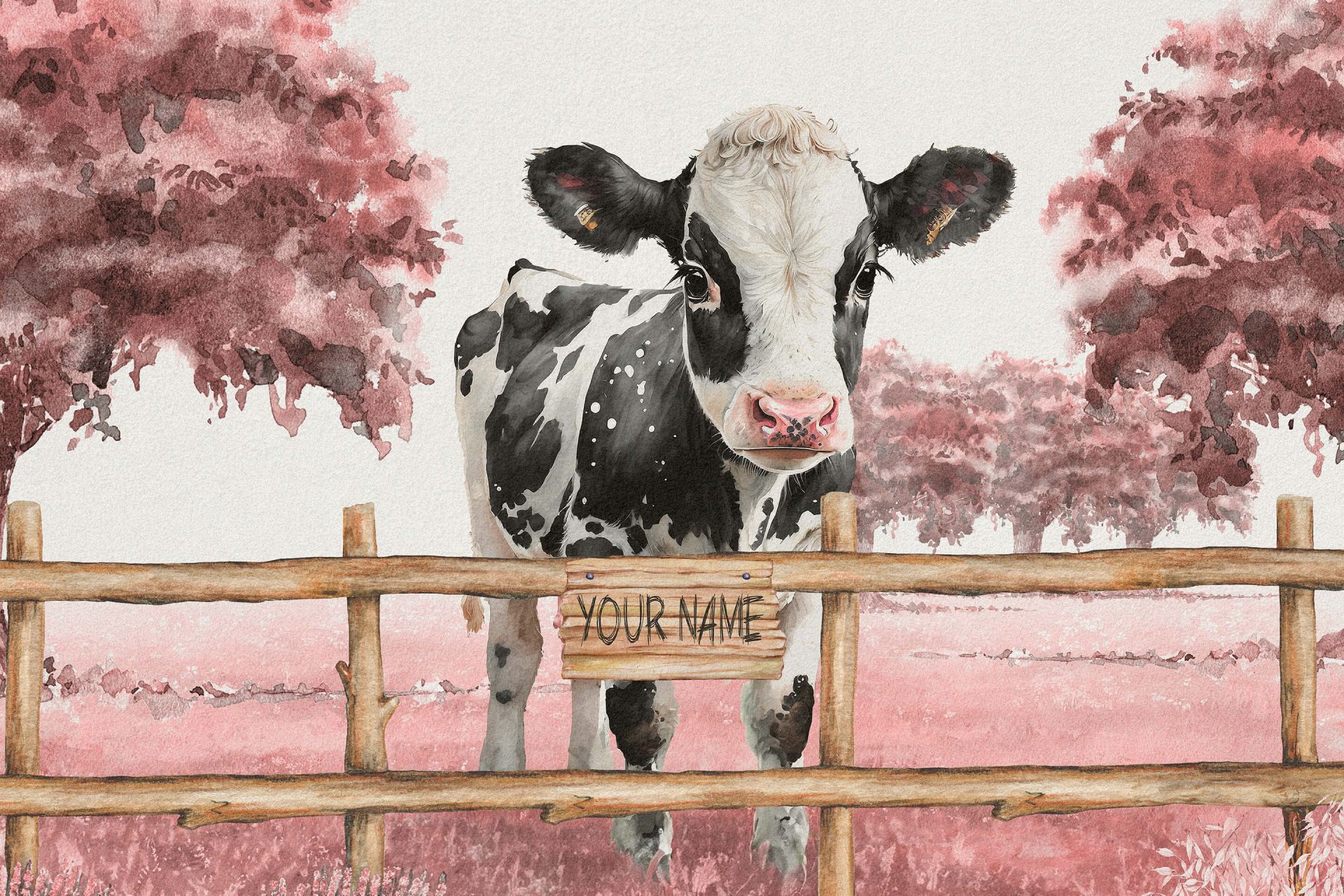 Young cow in a meadow pink