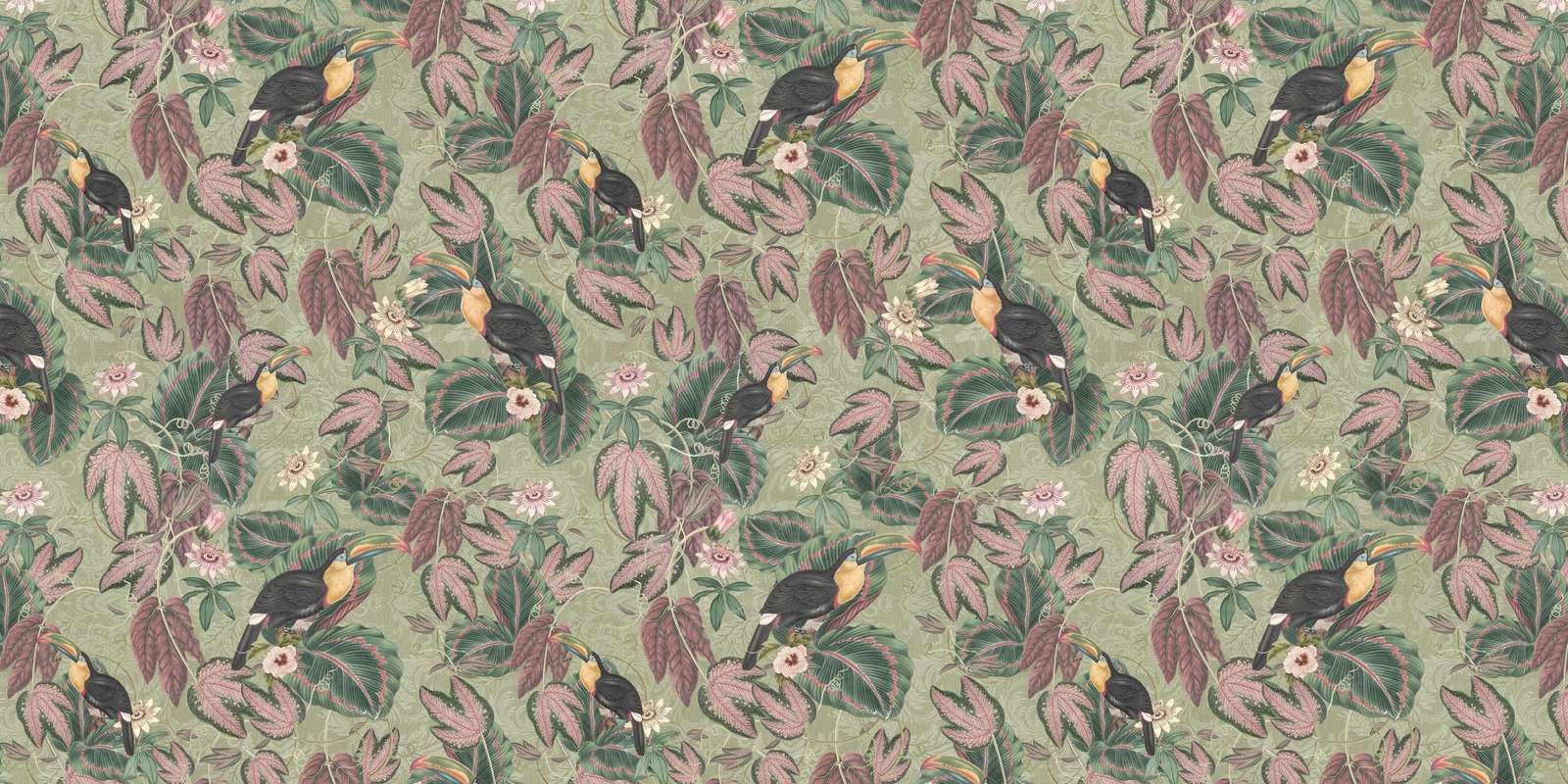 Tropical Jungle birds & toucans - sage green