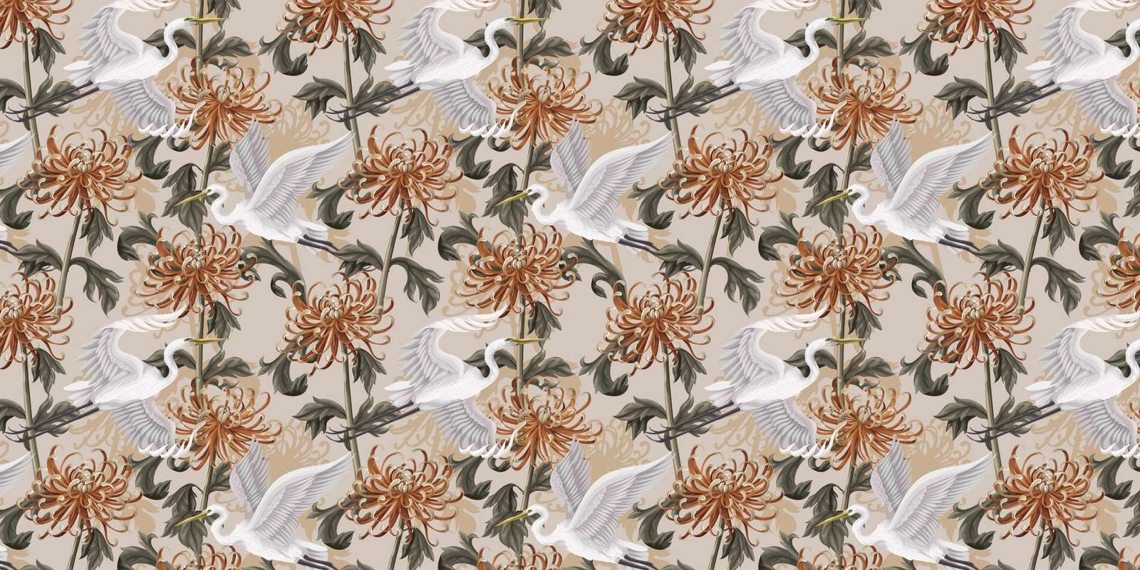 Swan Dance Chrysanthemum Glow