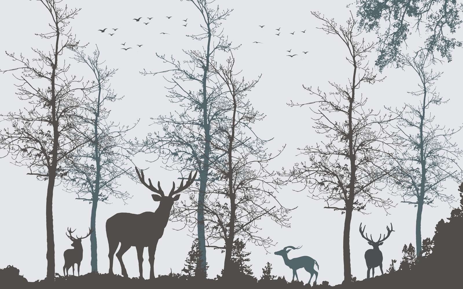 Winter Contour Forest Silence