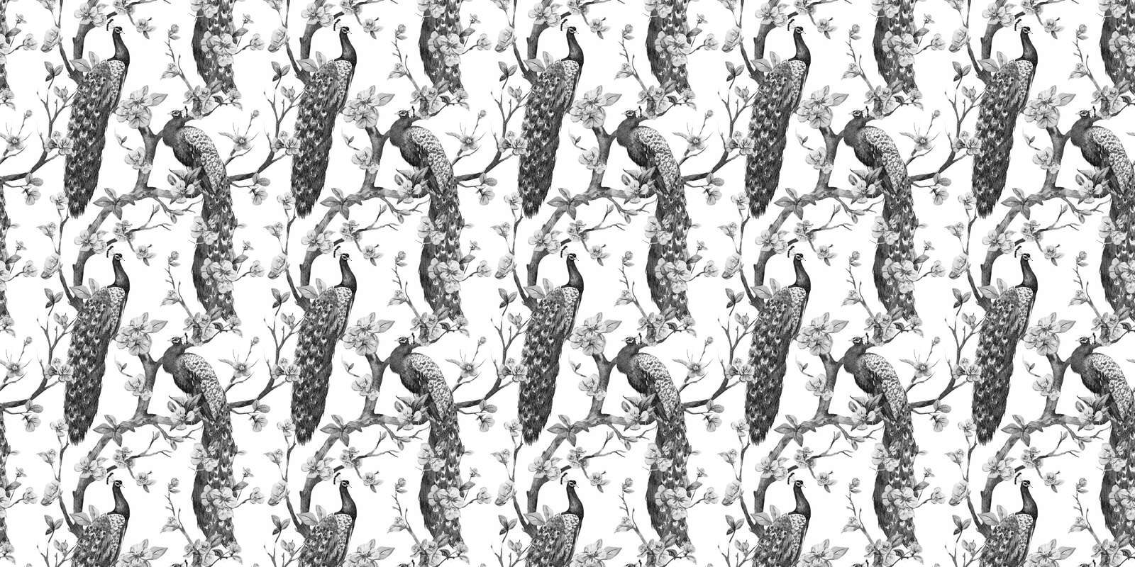 Monochrome Peacock Splendor