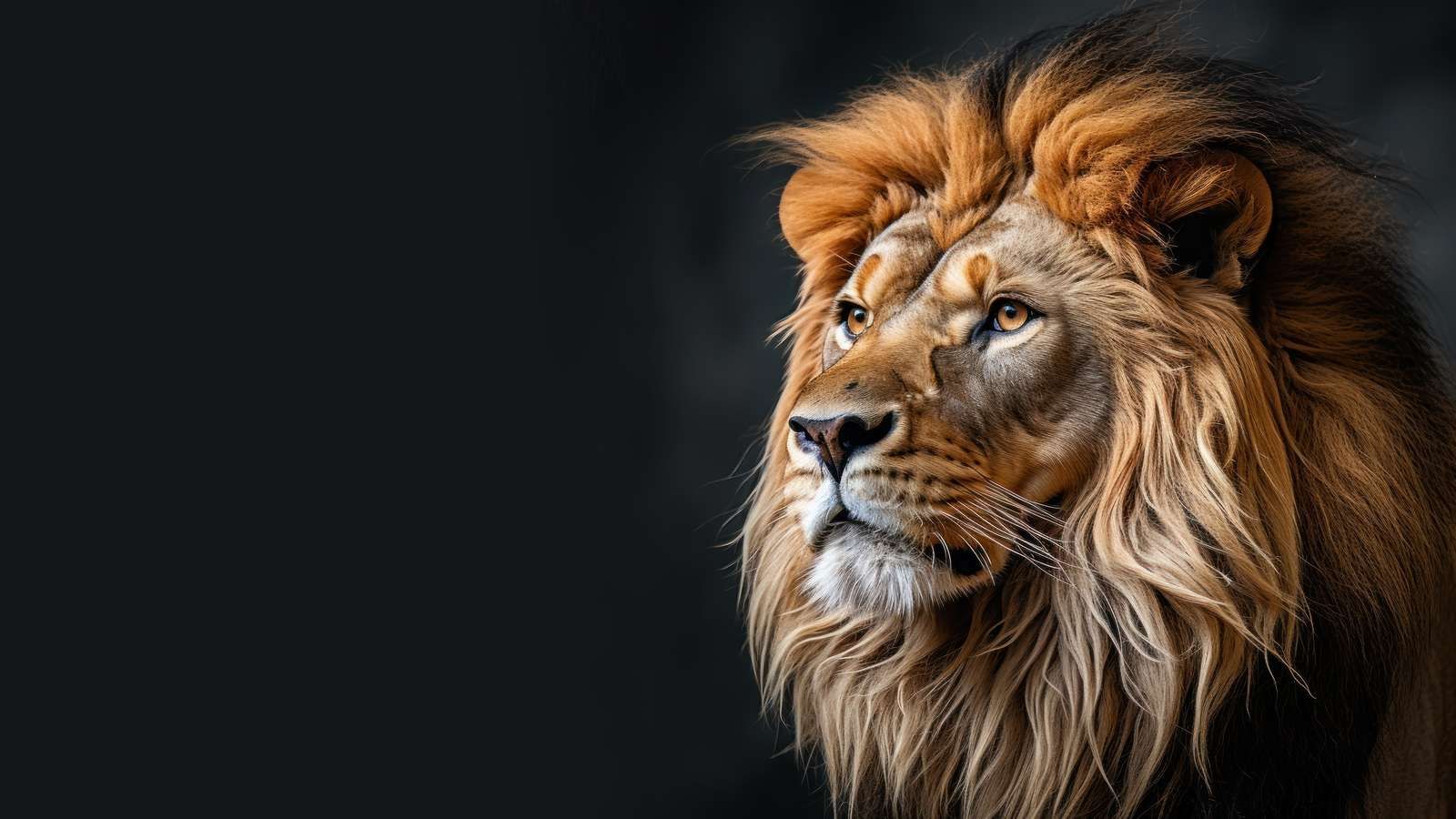 Silent Strength