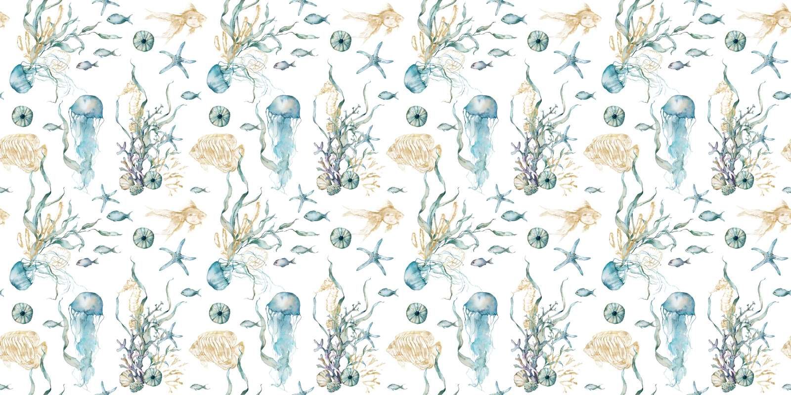 Jellyfish Coral Melody