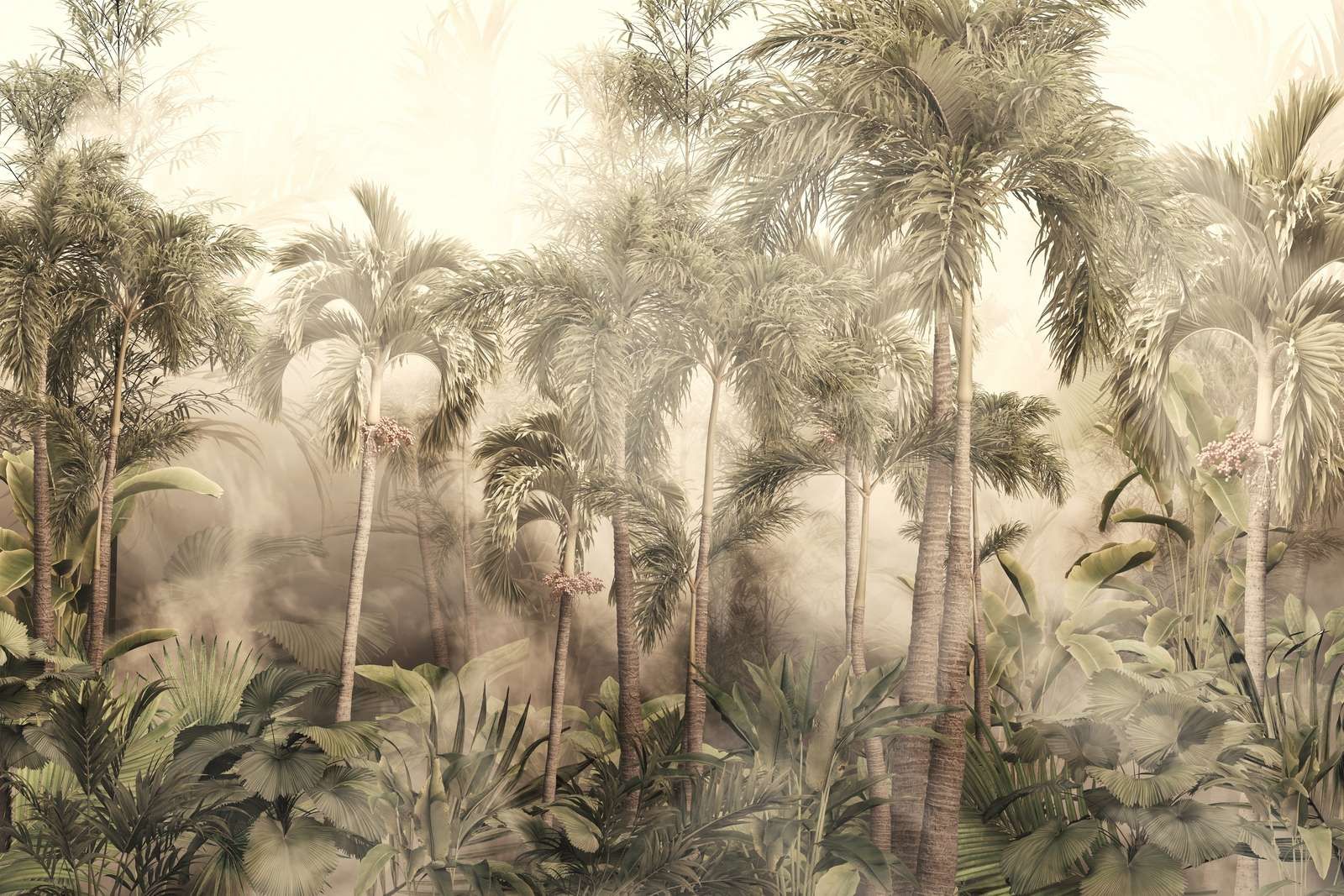 Tropical Mist Beauty