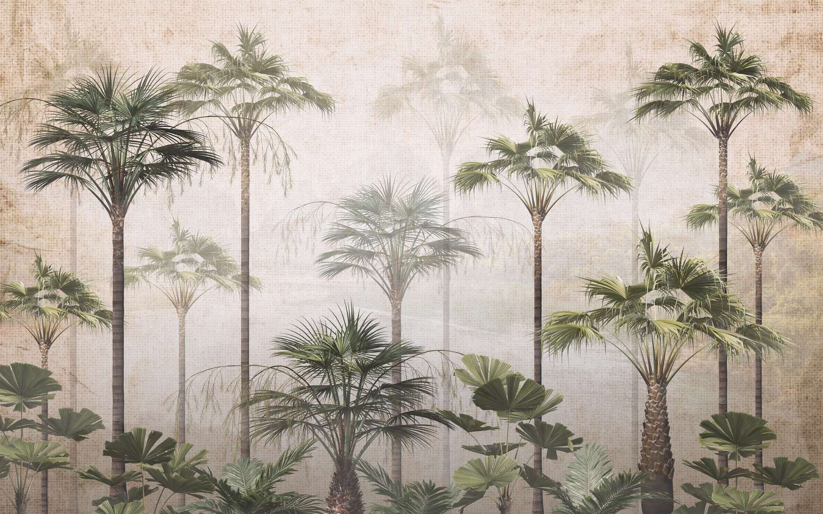 Silent Palm Serenity