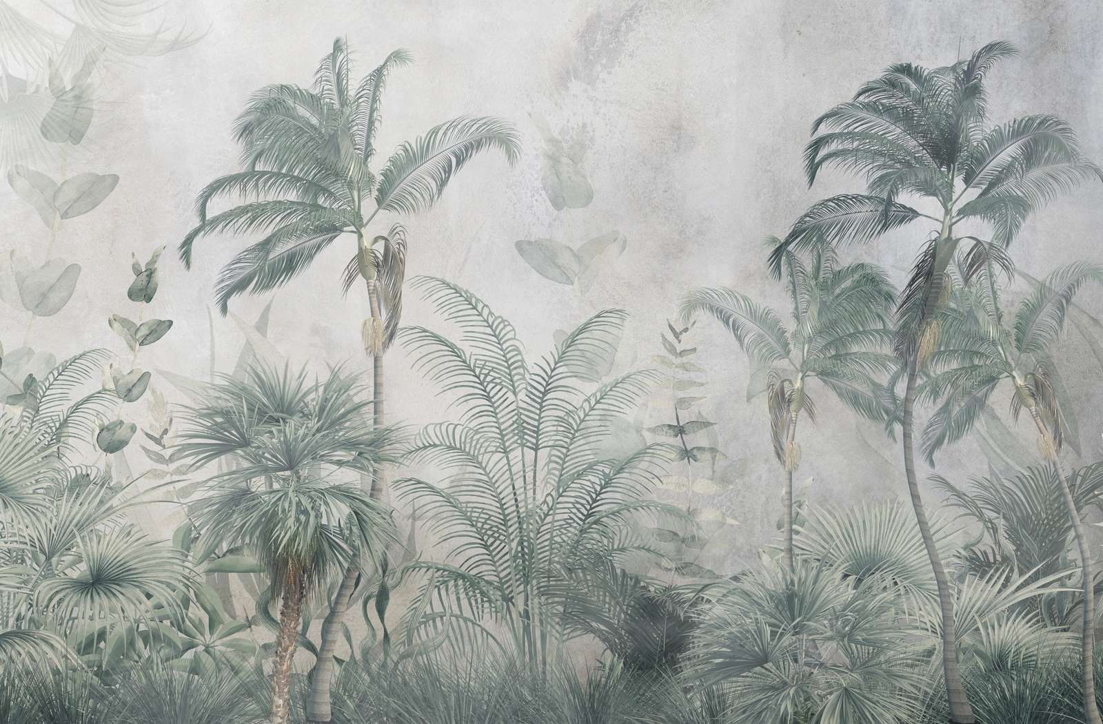 Misty Tropical Paradise