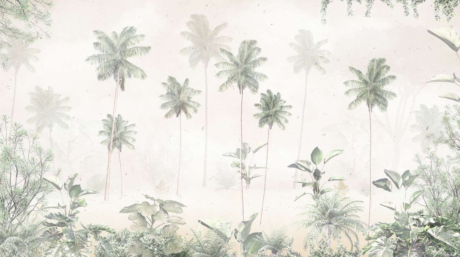 Tropical Mist Morning