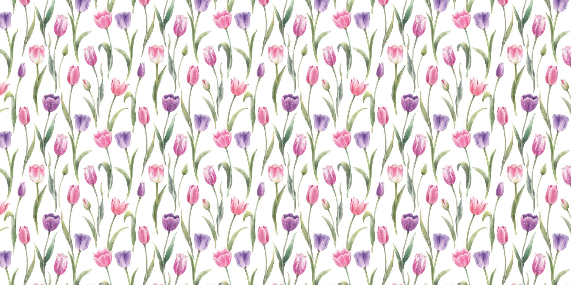 Spring Garden Tulip Magnificence