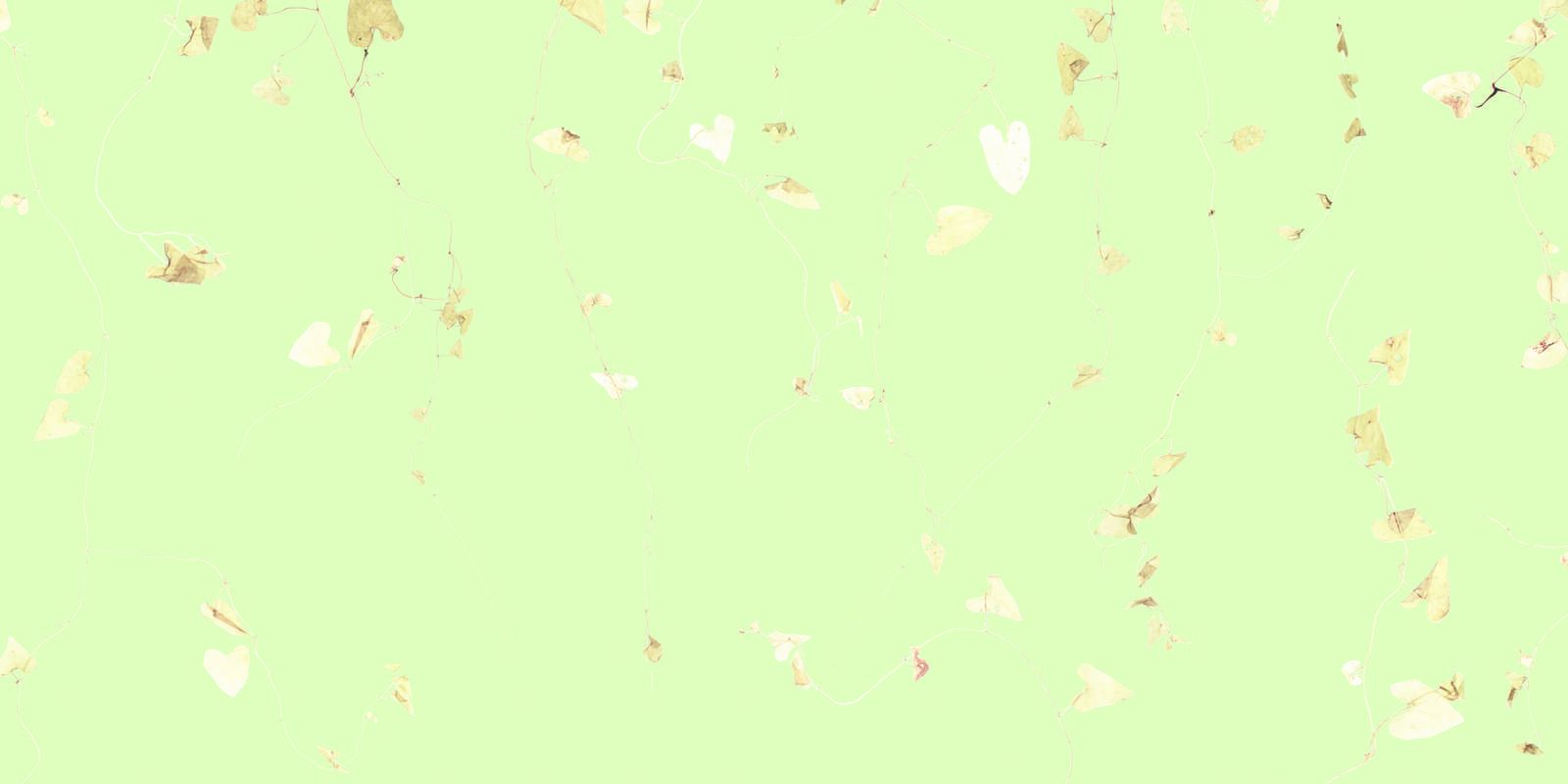 Linden branches - fresh green