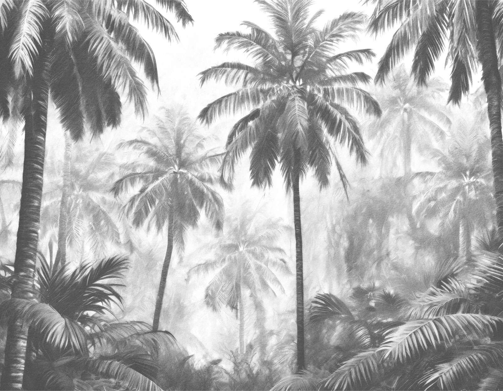 Misty Palm Forest