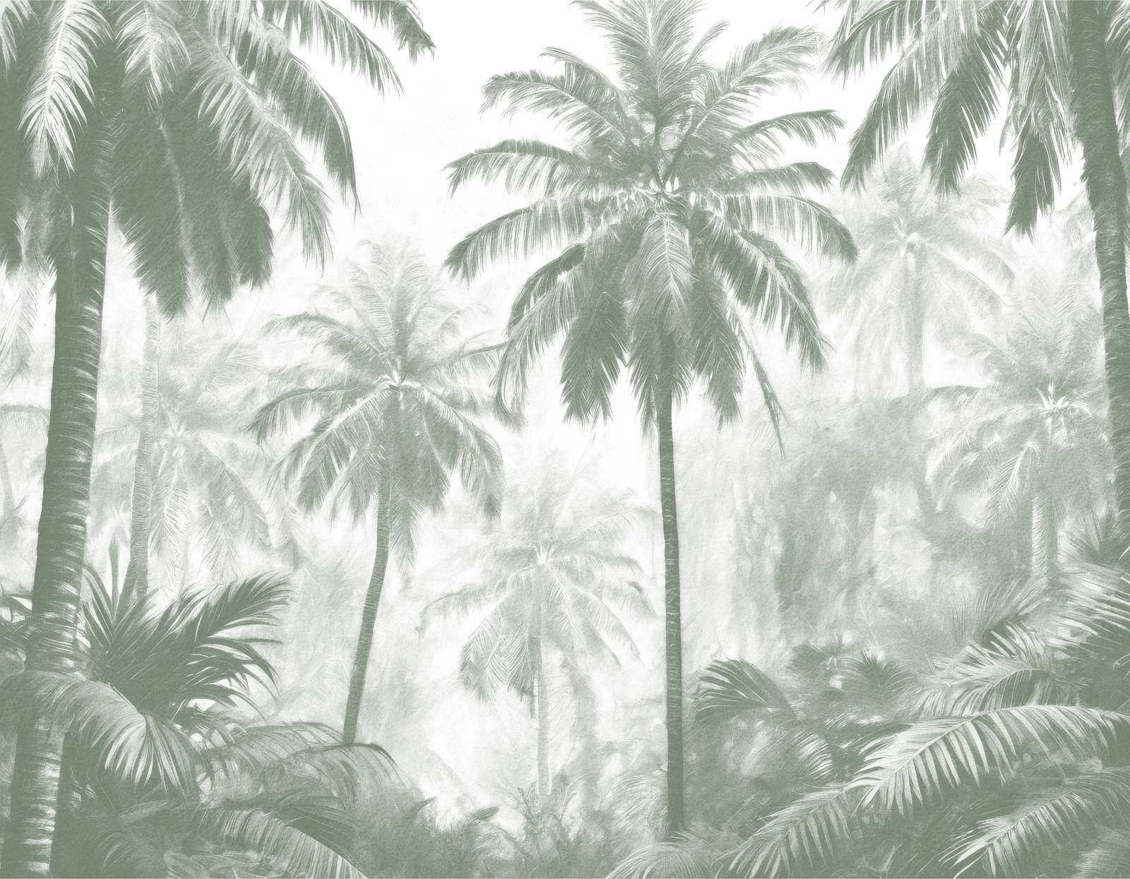 Misty Palm Forest, green