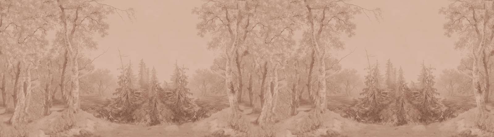 Forest Landscape Earth Panorama