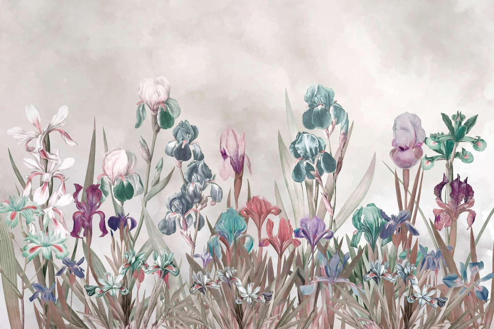 Iris Field 6