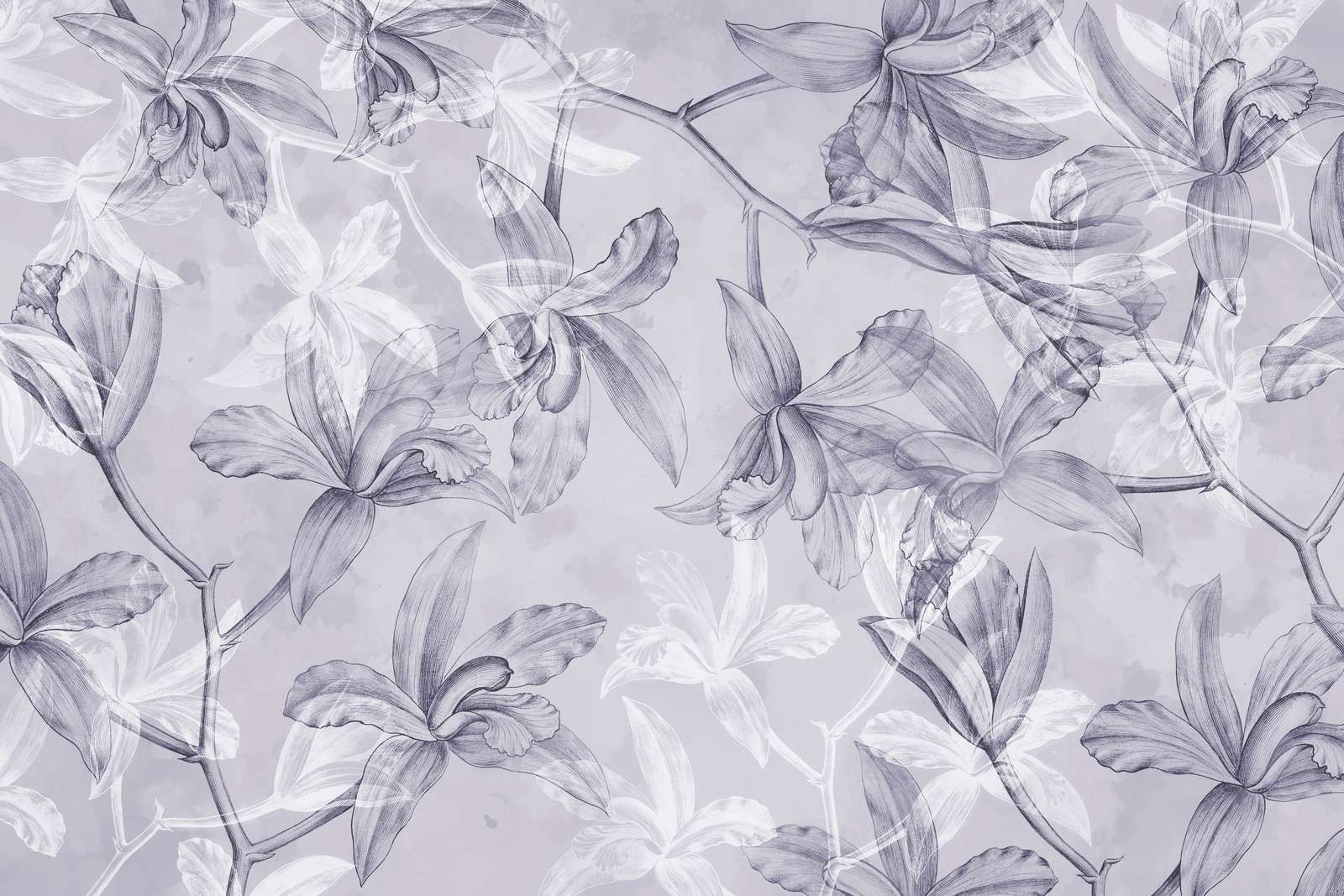 Orchid Dreamscape Purple