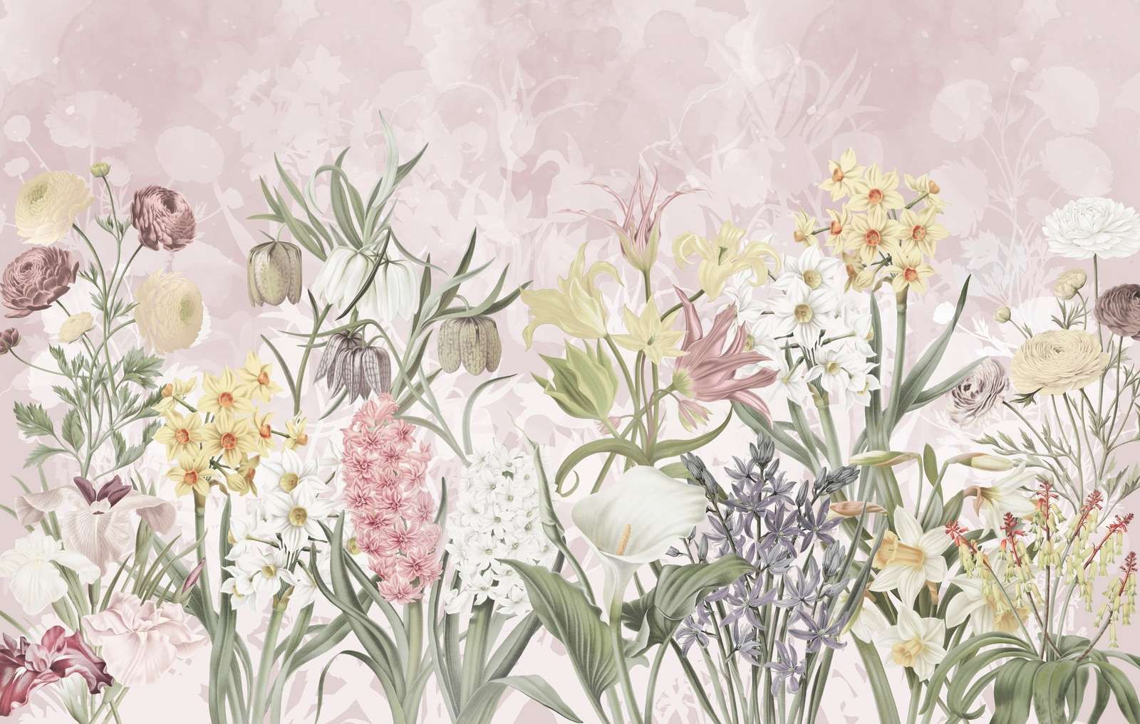 Spring Flowers - Pastel Petal Pink