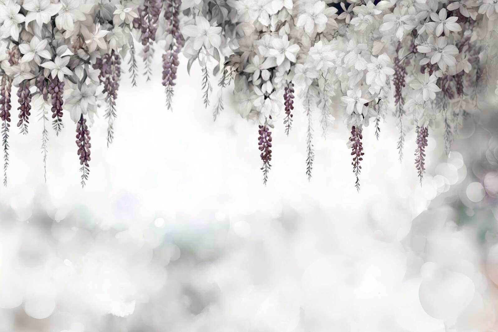 Gentle Wisteria Garden White Gentle Wisteria Garden White