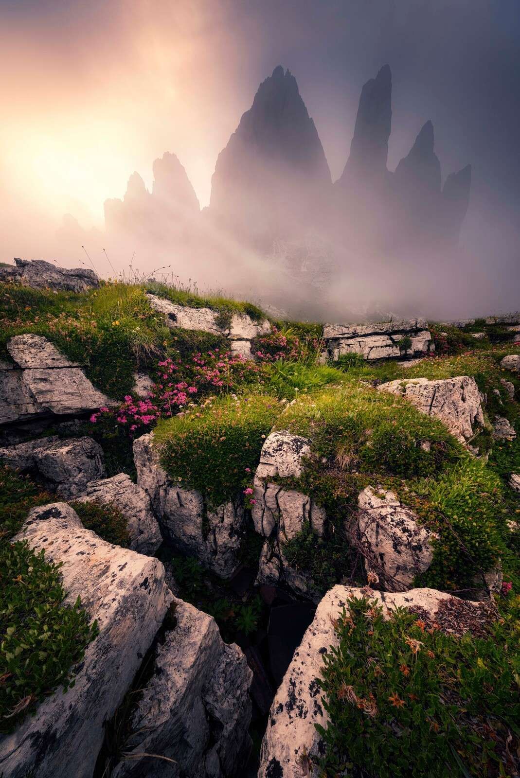 Mountain peaks and alpine flowers