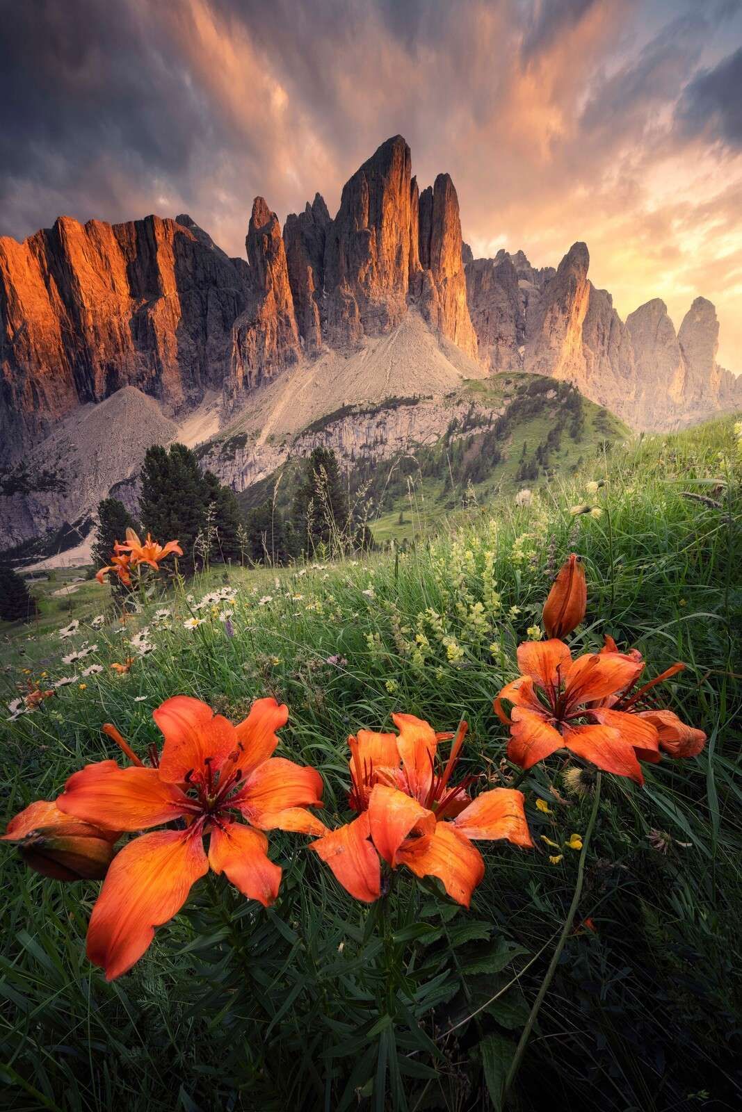 Summer glow in the Alps