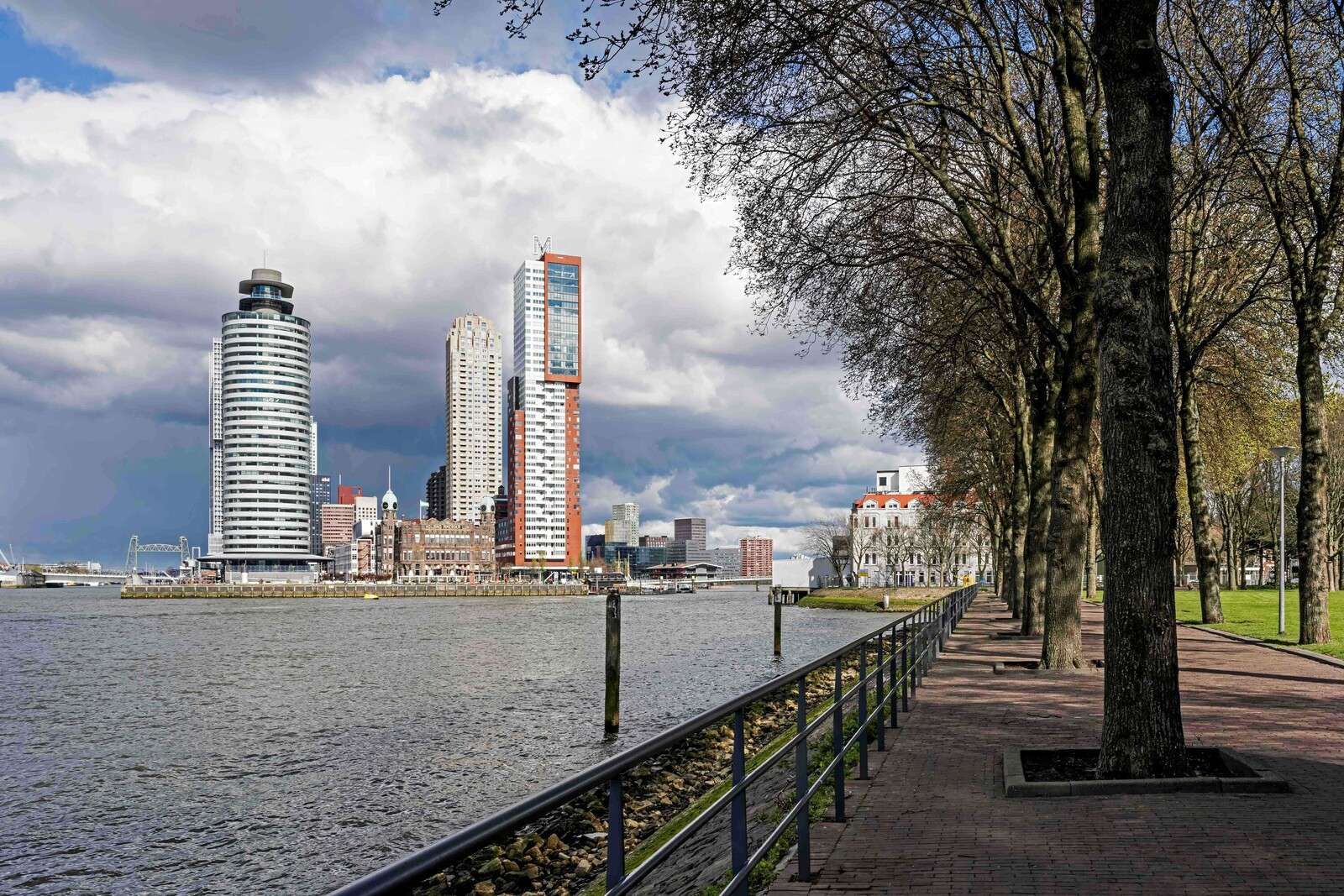 Rotterdam Skyline from the Quay