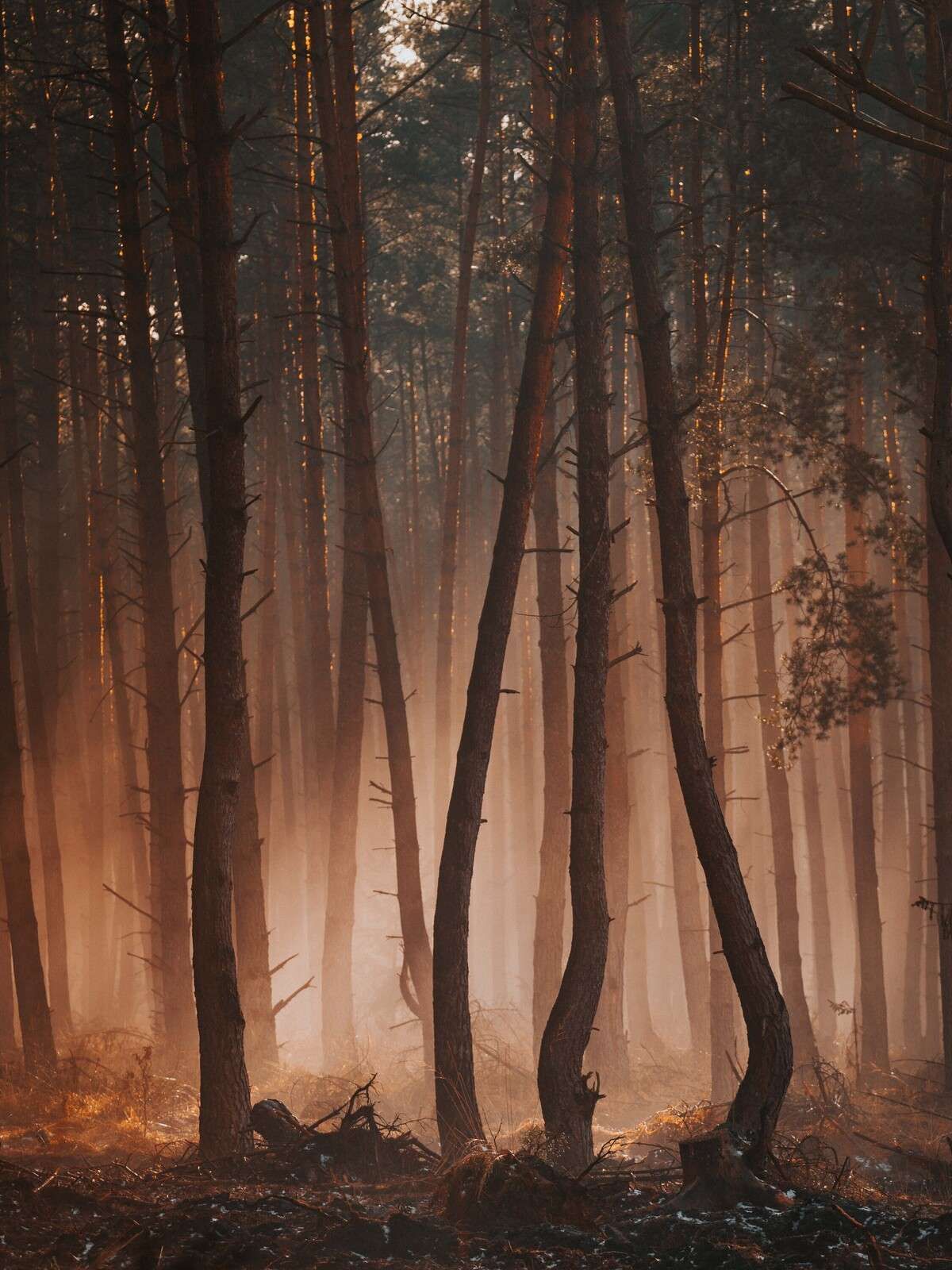 Transition of the Seasons