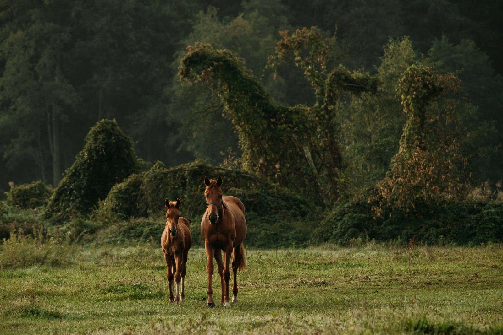 Horses in a Mystical Landscape