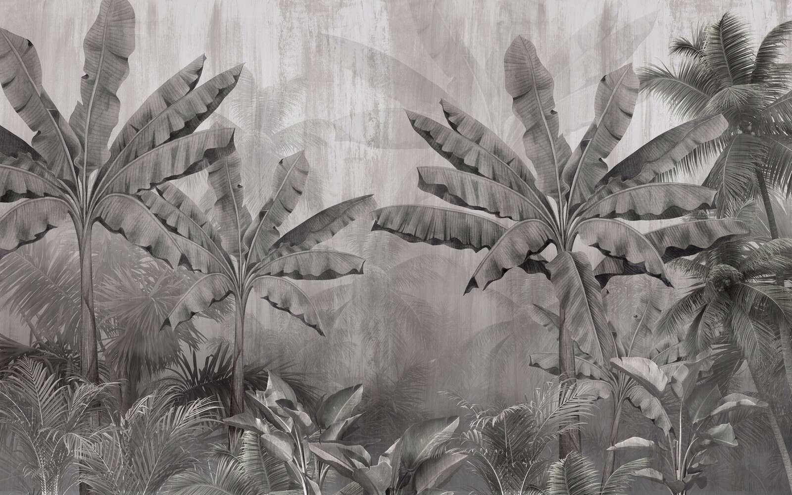 Tropical cloud palms