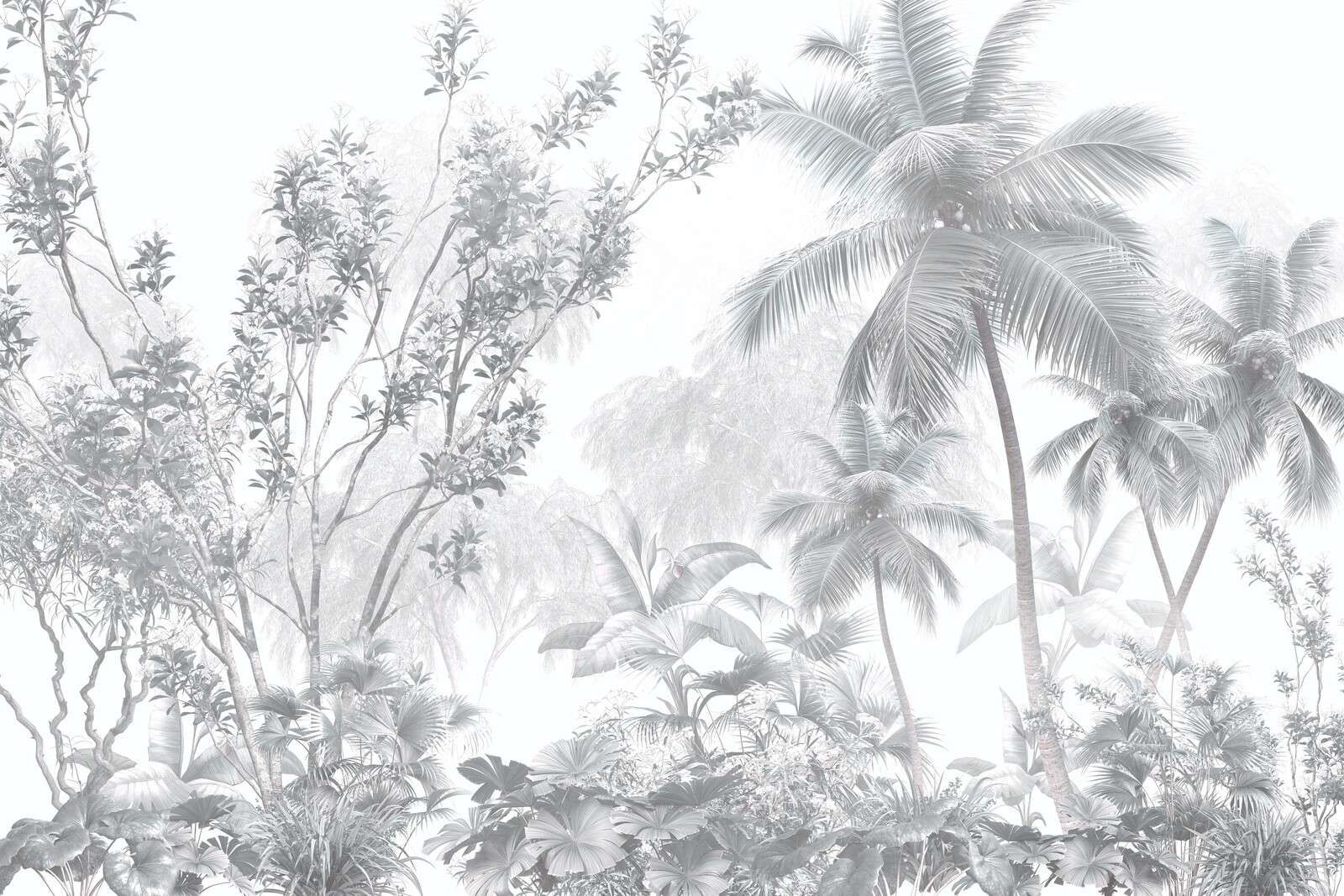 Tropical mist palms