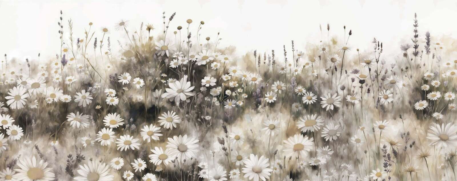 Quiet Daisies Meadow Cream