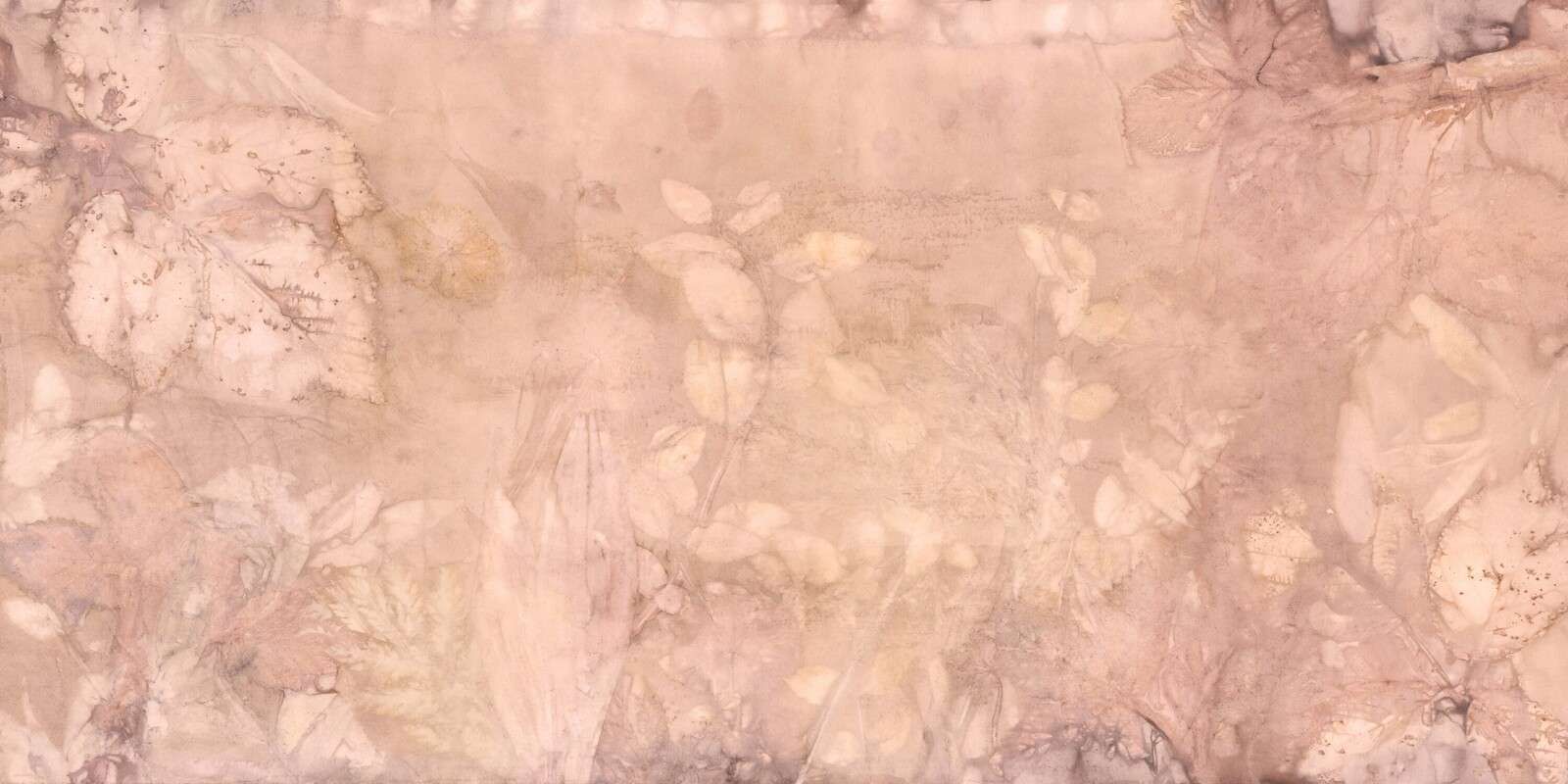 Wild blackberry and plantain - dream world in pink