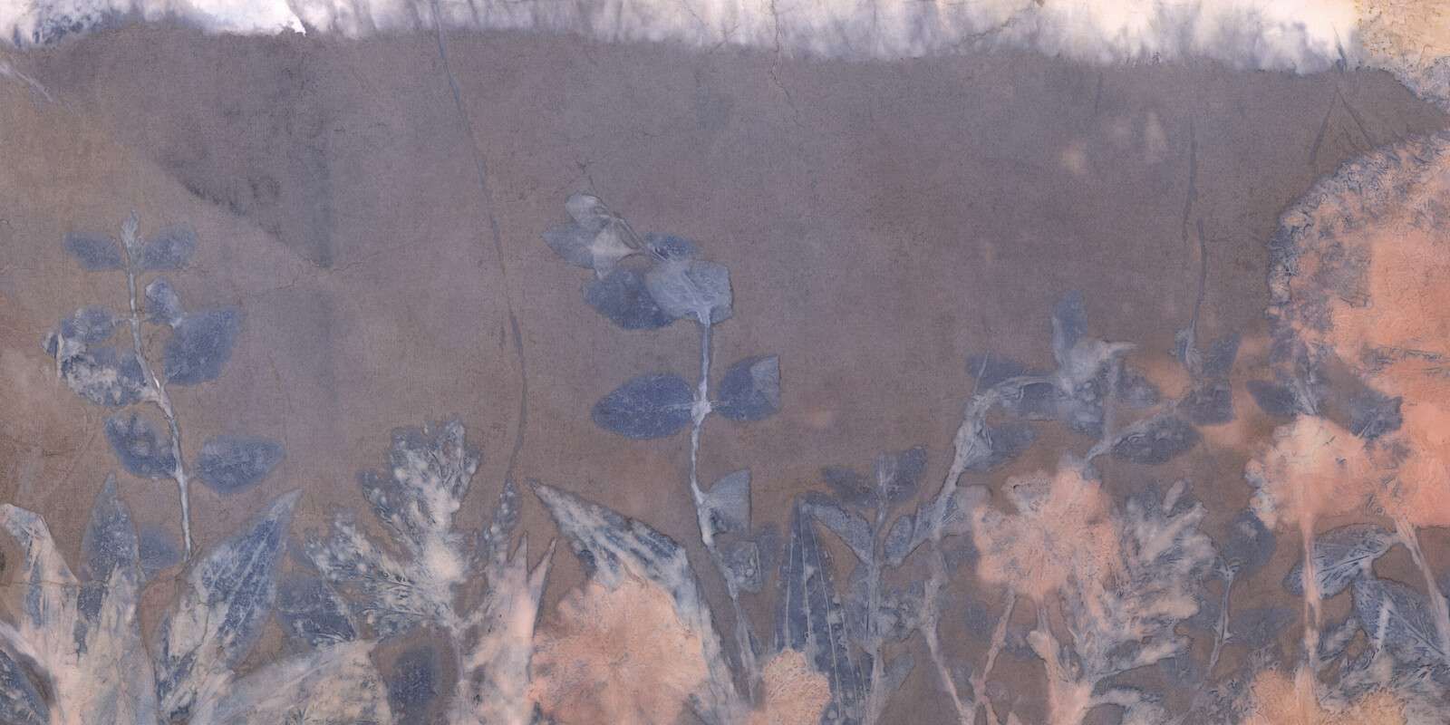 Wild geranium and snowberry - blue