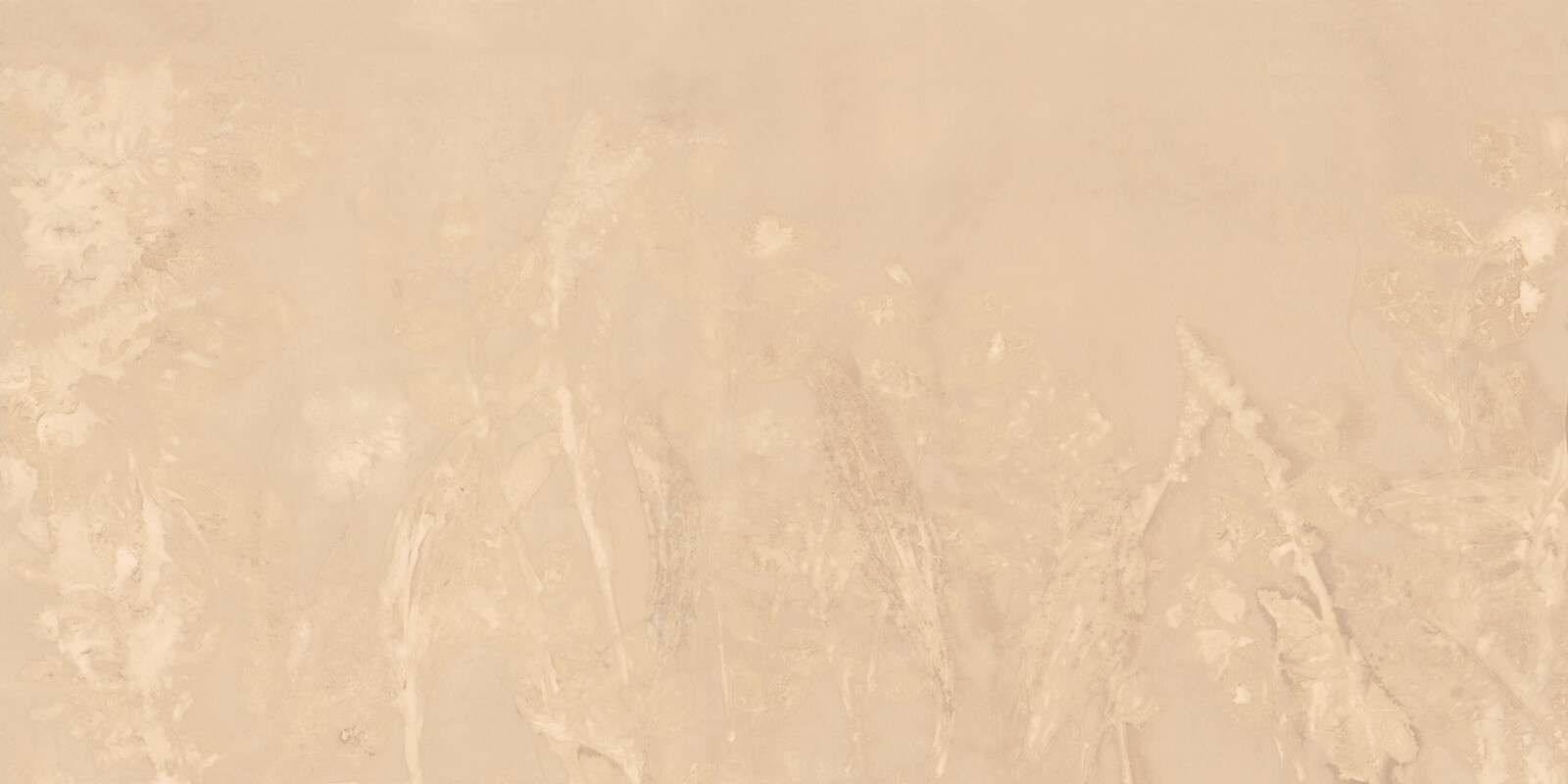 Sheep sorrel and shrub willow - sepia