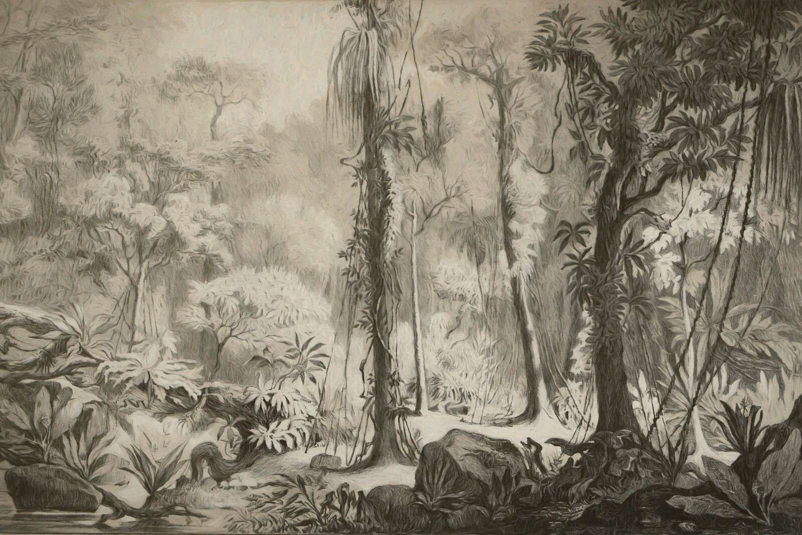 Tropical forest - brown